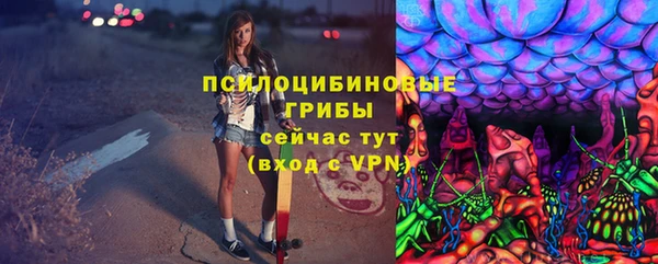 apvp Зеленодольск