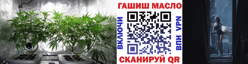 Дистиллят ТГК THC oil  Купить где  Шали 